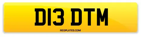 D13 DTM