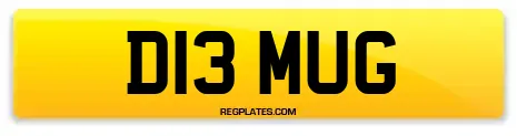D13 MUG