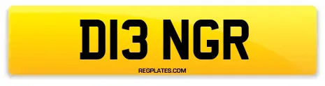 D13 NGR