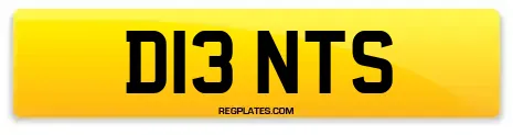 D13 NTS