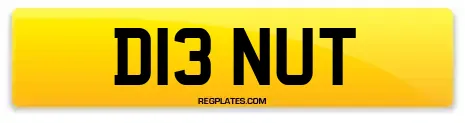 D13 NUT