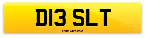 D13 SLT
