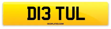 D13 TUL
