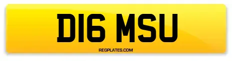 D16 MSU