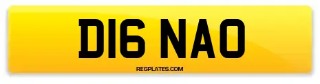 D16 NAO