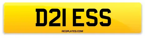 D21 ESS
