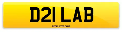 D21 LAB