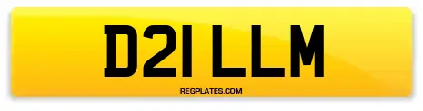D21 LLM