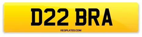 D22 BRA