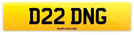 D22 DNG