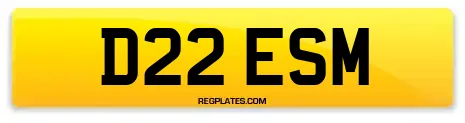 D22 ESM
