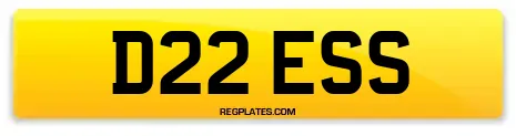 D22 ESS