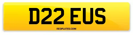 D22 EUS
