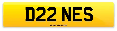 D22 NES