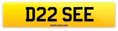 D22 SEE