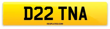 D22 TNA