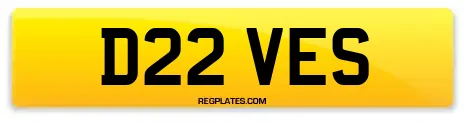 D22 VES