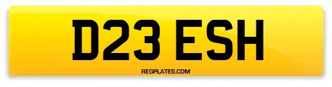 D23 ESH
