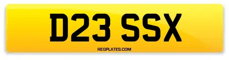 D23 SSX
