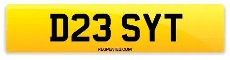 D23 SYT
