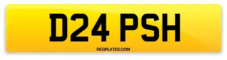 D24 PSH