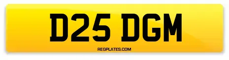 D25 DGM