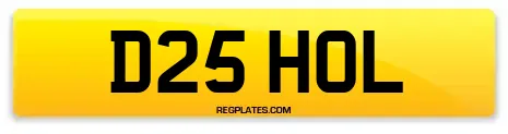 D25 HOL
