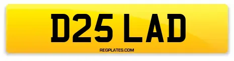 D25 LAD
