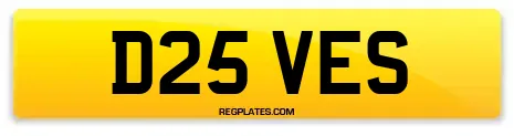 D25 VES