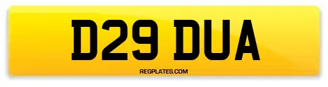 D29 DUA