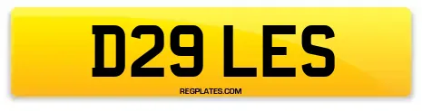 D29 LES