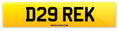 D29 REK