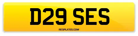 D29 SES