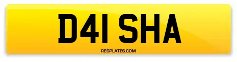 D41 SHA