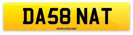 DA58 NAT
