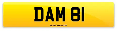 DAM 81