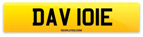 DAV 101E