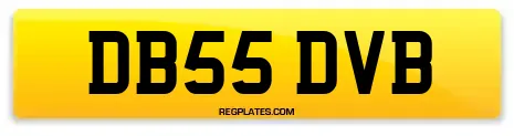 DB55 DVB