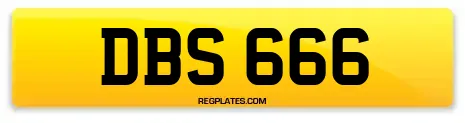 DBS 666