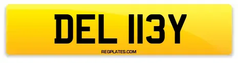 DEL 113Y