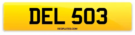 DEL 503