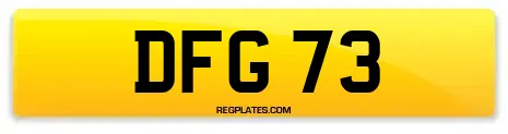 DFG 73