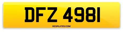 DFZ 4981