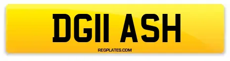 DG11 ASH