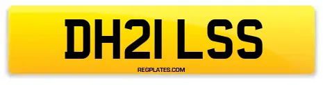 DH21 LSS