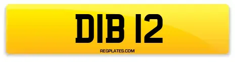 DIB 12