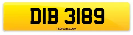 DIB 3189