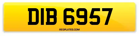 DIB 6957