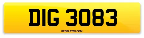 DIG 3083