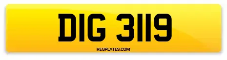 DIG 3119